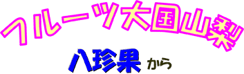 フルーツ大国山梨 八珍果から
