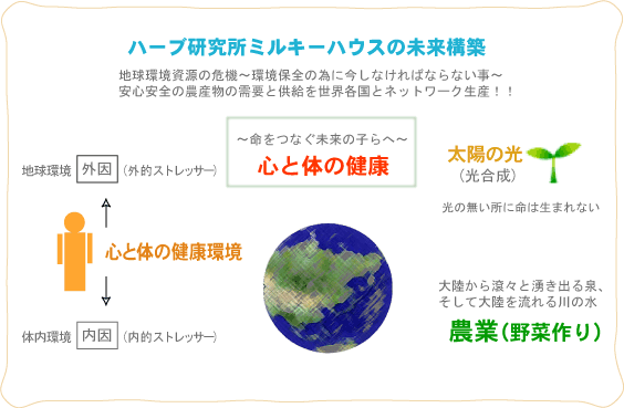 �n�[�u�������~���L�[�n�E�X�̖����\�z