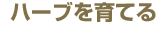 �n�[�u����Ă�