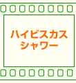 �n�C�r�X�J�X�V�����[
