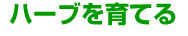 �n�[�u����Ă�