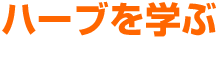 �n�[�u���w��